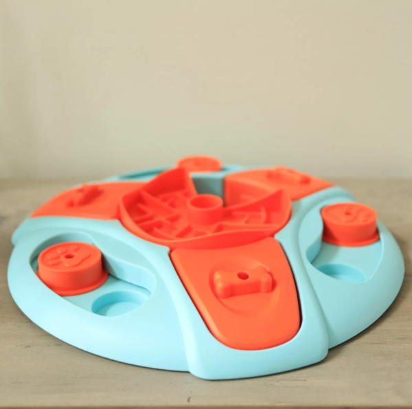 Cognitive Enrichment and IQ Training: Interactive Puzzle Toys for Dogs - Image 2