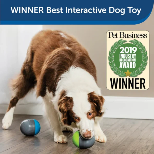 Ricochet Interactive Electronic Dog Toy - Image 2