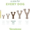 Benebone Wishbone Durable Toy ForDogs, For Heavy Chewers, Bacon Flavor - Image 4